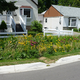 Image for article titled Even In Cities Where It Rains America's Water Infrastructure Is a Mess